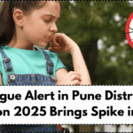 Dengue Alert in Pune District – Monsoon 2025 Brings Spike in Cases